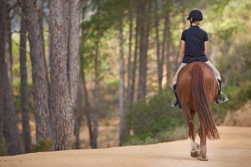 Horseback ride in Almodóvar del Río. - A Closer Look at the Ride