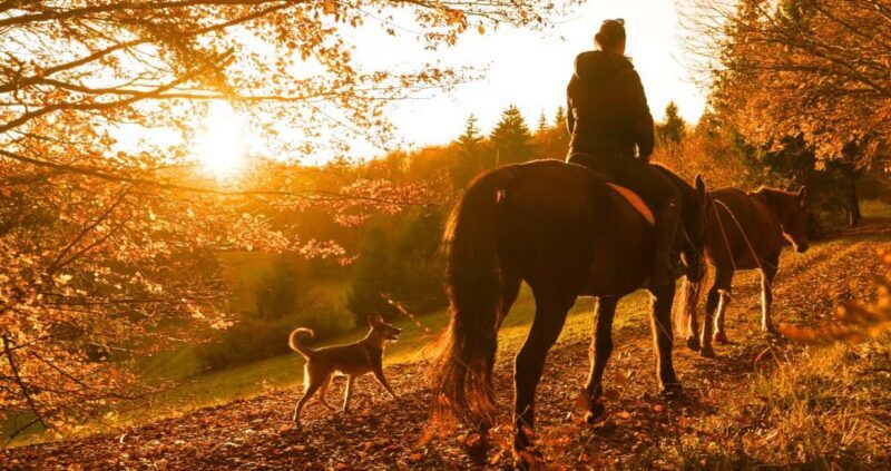 Horseback ride in Almodóvar del Río. - Practical Details and Tips