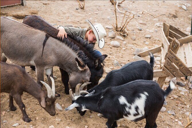 Horseback Ride near the Grand Canyon's West Rim - Who Should Consider This Tour?