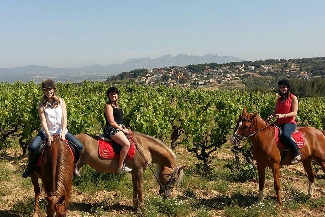 Horseback Ride, Penedes, Wine Tasting & Tapas Private Tour - Key Points