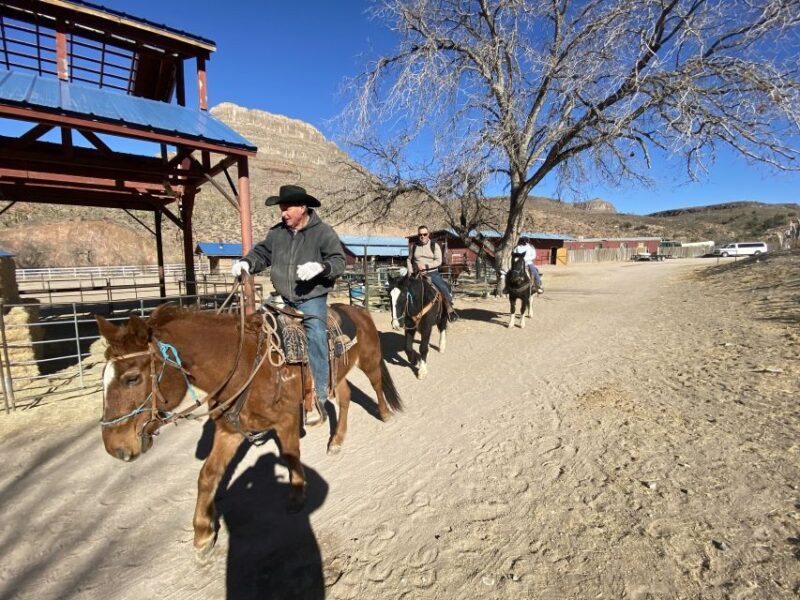 Horseback Ride thru Joshua Tree Forest with Buffalo & Lunch - Key Points