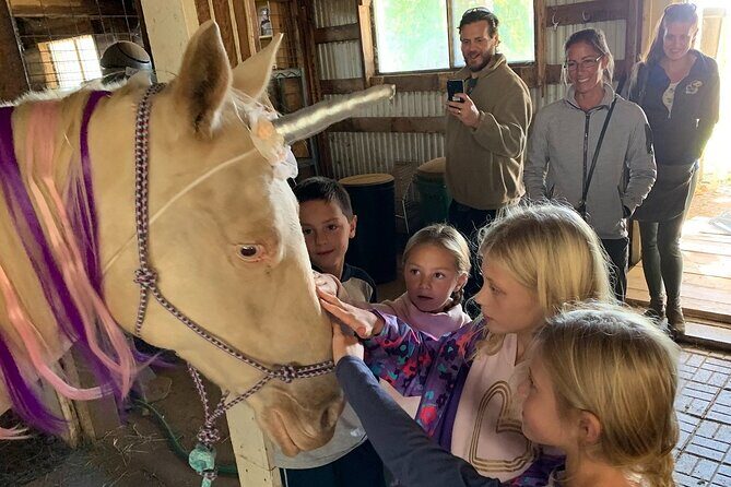 Horseback Rides, Interactions, and Petting Zoo - What to Expect from Your Visit