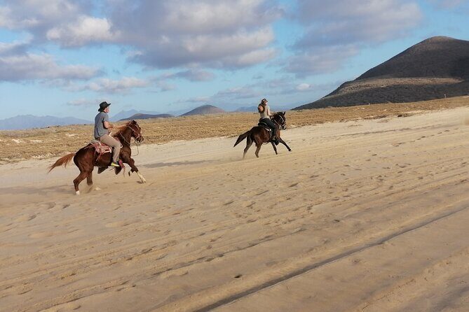 Horseback riding - What to Expect from the Tour