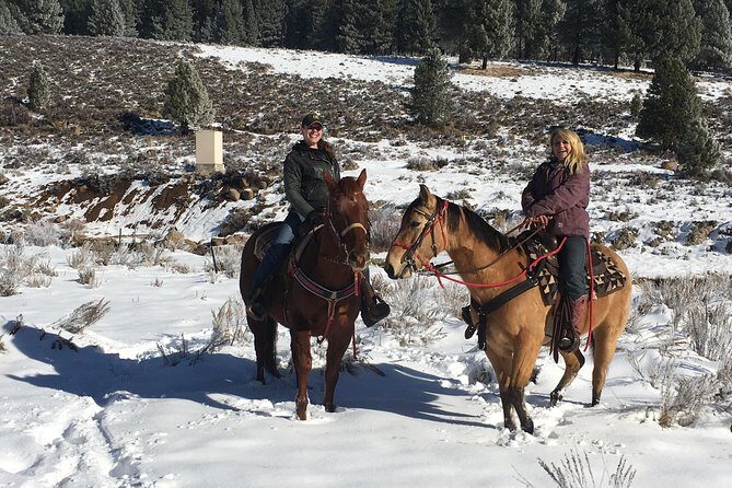 Horseback Riding Adventure from Reno - The Downside or Considerations