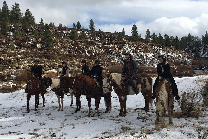 Horseback Riding Adventure from Reno - Who Is This Tour Best For?