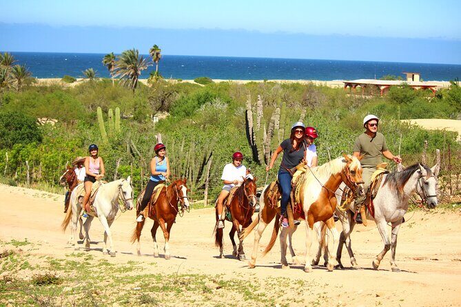 Horseback Riding Adventure in Playa Migriño with Tequila Tasting - Why This Tour Is Worth Considering