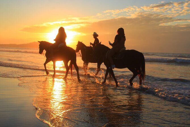 Horseback Riding Adventure in Punta Mita Nayarit - Who Will Love This Tour?
