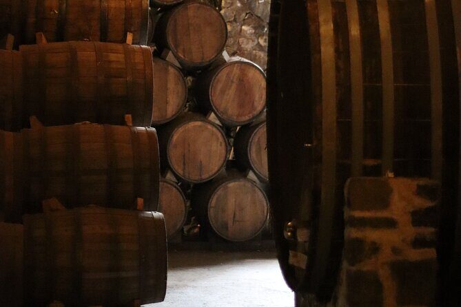 Horseback Riding among Agaves and Food: Experience the Morning in Amatitan - An In-Depth Look at the Experience