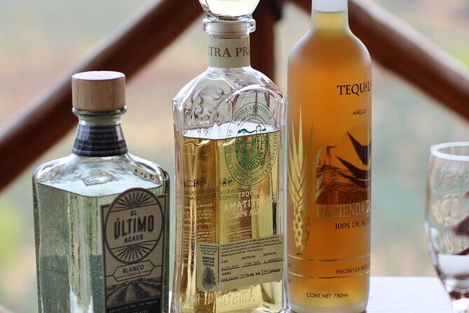 Horseback Riding among Agaves and Food: Experience the Morning in Amatitan - Final Thoughts