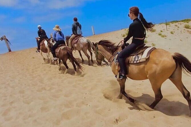 Horseback Riding And a Visit to La Bufadora Ensenada - Final Thoughts