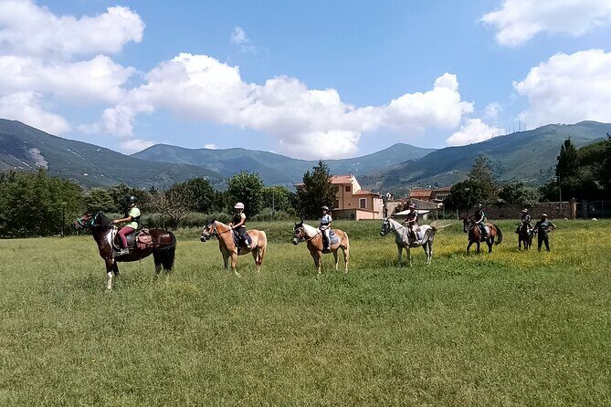 Horseback riding and aperitif 2 hours for beginners - What to Expect from the Experience