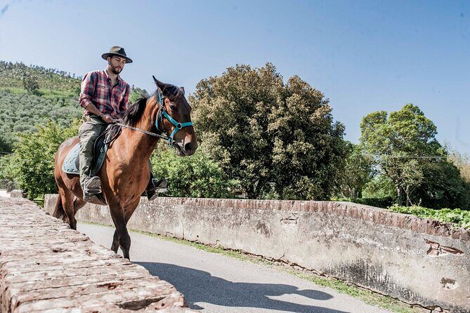 Horseback riding and aperitif 2 hours for beginners - Practical Details and Cost-Value Analysis