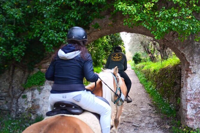 Horseback riding and aperitif 2 hours for beginners - Overall Impressions and Who It’s Best For