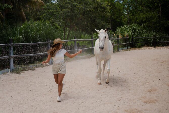 Horseback Riding and Cenote Swim from Cancun or Playa del Carmen - What to Expect from the Tour