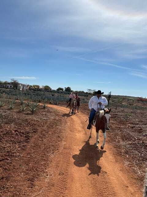 Horseback riding and Temazcal combo with lunch and mezcal - FAQs