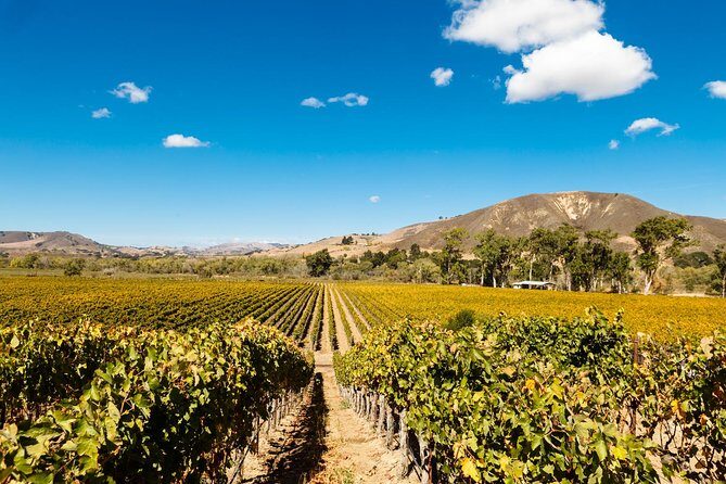 Horseback Riding and Wine Tasting Tour - Final Thoughts