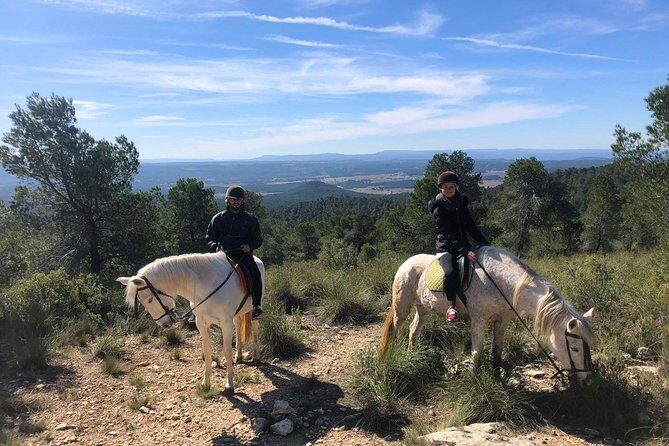 Horseback riding and wine tour (private tour) - Key Points