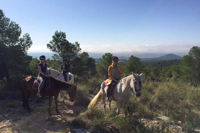 Horseback riding and wine tour (private tour) - Experience Breakdown: What to Expect on the Tour