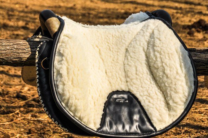 Horseback Riding and yurt stay in the Puszta, 1 hour morning ride - What to Expect from the Horseback Riding and Yurt Experience