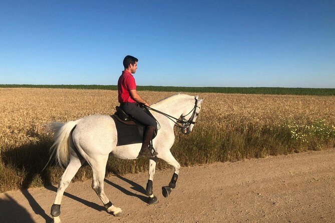 Horseback riding around Doñana - Final Thoughts