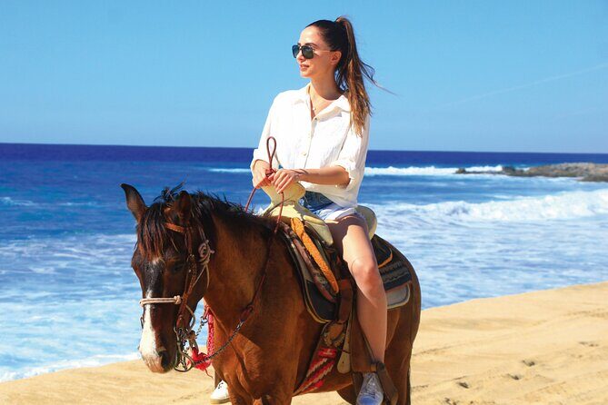 Horseback Riding Beach and Desert Adventure - Experience the Cabo San Lucas Horseback Riding Beach and Desert Adventure