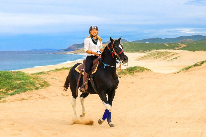 Horseback Riding Beach and Desert in Cabo by Cactus Tours Park - The Rider Experience