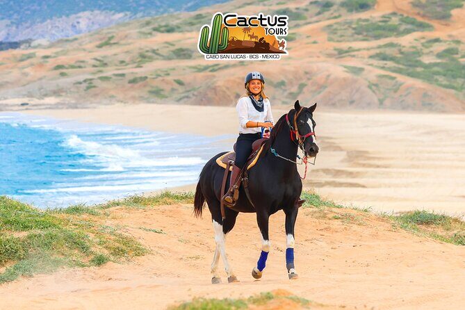 Horseback Riding Beach and Desert in Cabo by Cactus Tours Park - Group Size and Atmosphere