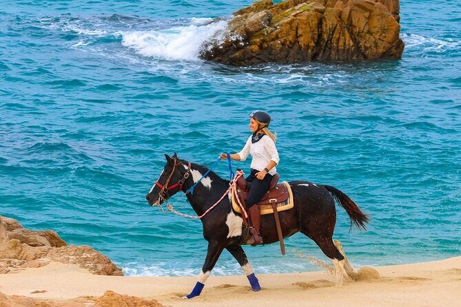 Horseback Riding Beach and Desert in Cabo by Cactus Tours Park - Who Should Consider This Tour?
