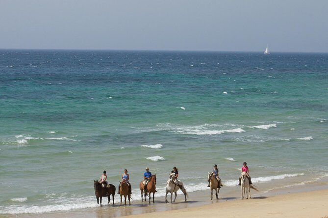 Horseback Riding by the beach or mountain in Tarifa, Spain - 1 to 2 hrs - Key Points