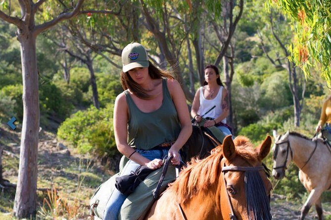 Horseback Riding by the beach or mountain in Tarifa, Spain - 1 to 2 hrs - A Closer Look at the Experience