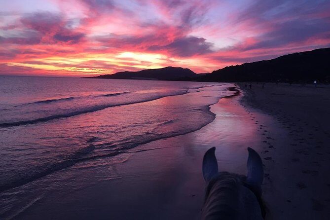 Horseback Riding by the beach or mountain in Tarifa, Spain - 1 to 2 hrs - FAQ