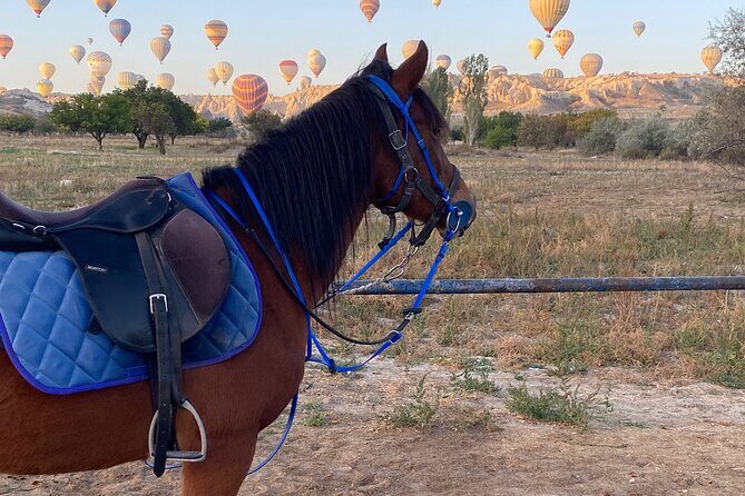 Horseback Riding Experience Cappadocia - The Practical Side: Logistics and What to Expect