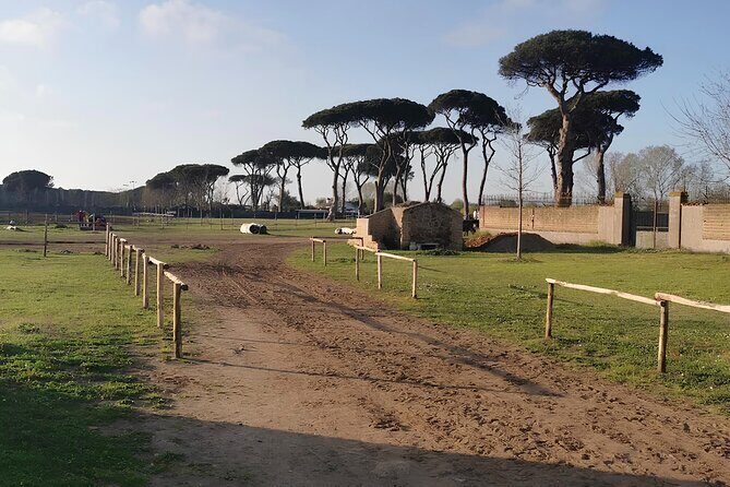 Horseback Riding Experience in Castel Fusano near Rome - A Closer Look at the Location and Logistics