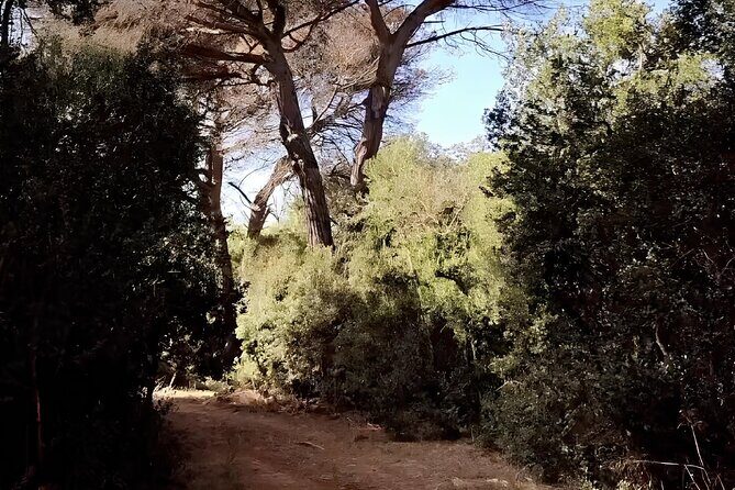 Horseback Riding Experience in Castel Fusano near Rome - FAQs