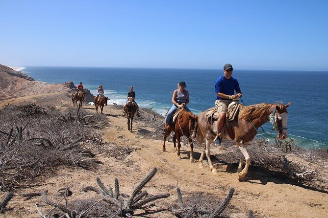 Horseback Riding Experience in Rancho San Cristobal - What to Expect from the Rancho San Cristobal Horseback Riding Tour