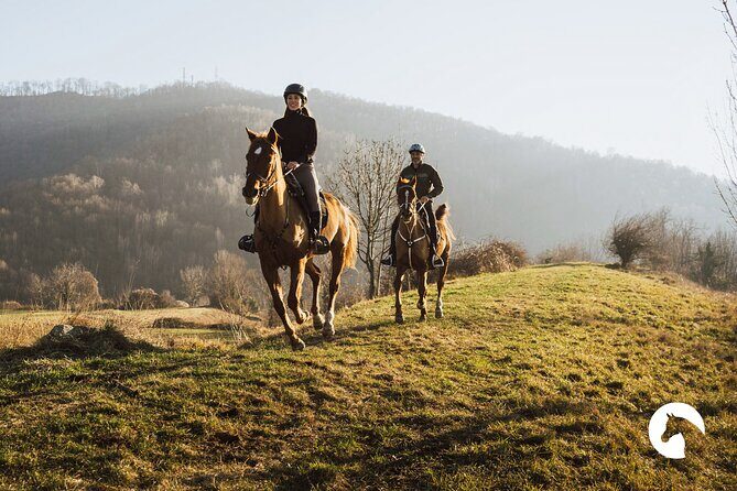 Horseback riding for experts between the lake and the mountains - Horseback Riding for Experts Between the Lake and the Mountains: An Honest Review