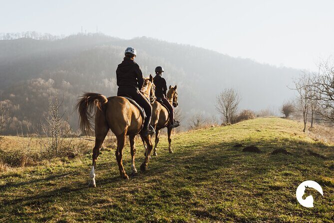 Horseback riding for experts between the lake and the mountains - Exploring the Details of the Tour