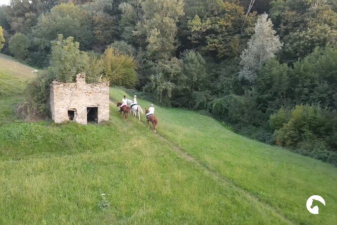 Horseback riding for experts between the lake and the mountains - Final Thoughts: Who Is This Tour Best For?