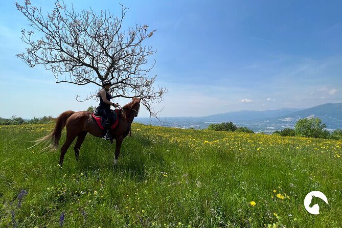 Horseback riding for experts between the lake and the mountains - FAQ
