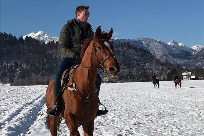 Horseback Riding In Bled - Key Points