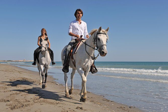 Horseback Riding in Bodrum - What the Reviews Tell Us