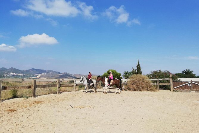 Horseback Riding in Cartagena (Spain) - Who Will Get the Most Out of This Tour?