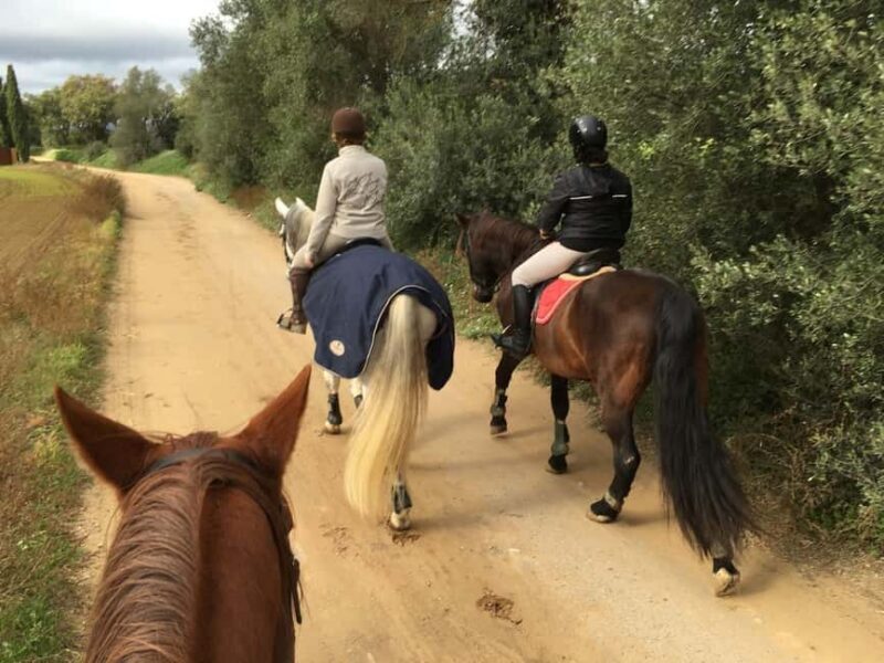 Horseback Riding in Costa Brava with Castell dEmpordà Views - Who Is This Tour Best For?