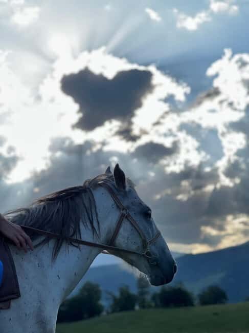 Horseback riding in Dilijan - The Experience: What You Can Expect from Start to Finish