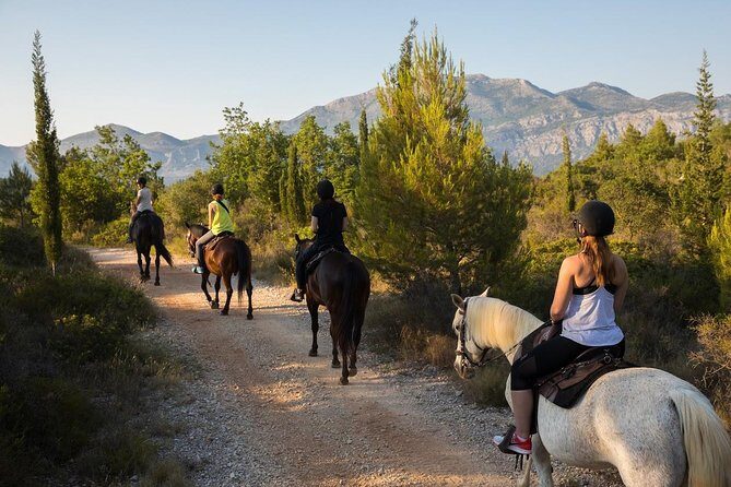 Horseback Riding in Konavle Region with Transport from Dubrovnik - What to Expect from the Horseback Riding Tour