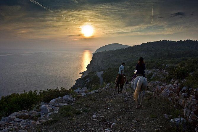 Horseback Riding in Konavle Region with Transport from Dubrovnik - More About the Guide and the Horses