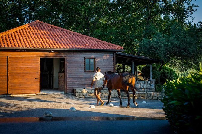 Horseback Riding in Konavle Region with Transport from Dubrovnik - Food and Wine: A True Croatian Touch