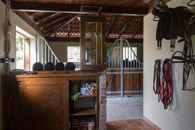 Horseback Riding in Konavle Region with Transport from Dubrovnik - Final Thoughts