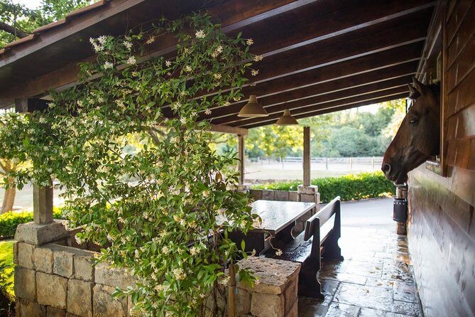 Horseback Riding in Konavle Region with Transport from Dubrovnik - FAQ