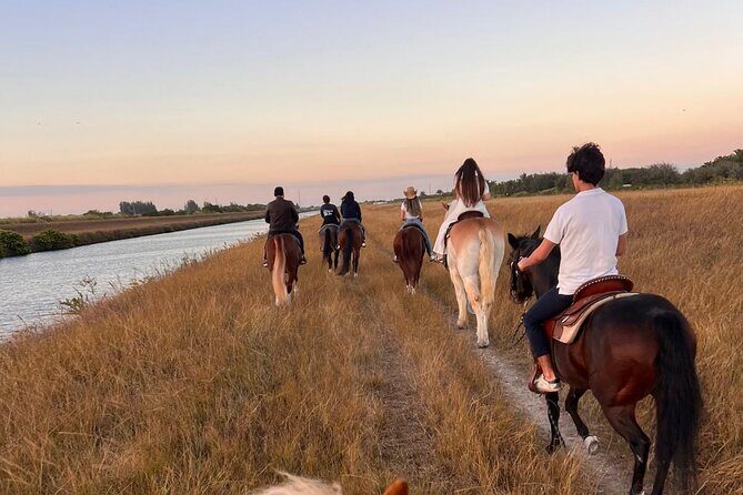 Horseback Riding in Miami - Is it Worth the Price?